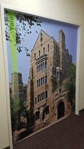 Agilent Technologies Office Sticker Decorations_7